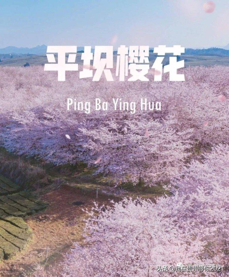 缅甸仰光一汽车被盗,找到后变成了零件