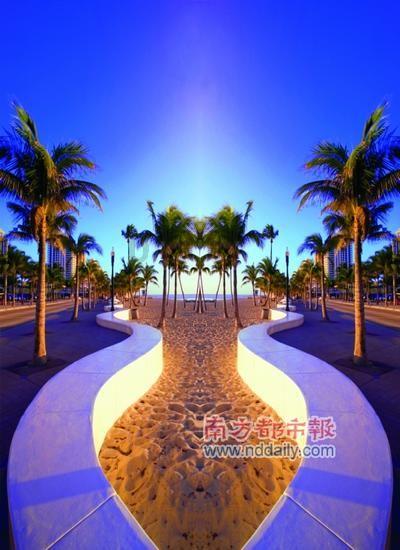 河南扶沟:特色养殖“鸵”起乡村致富梦