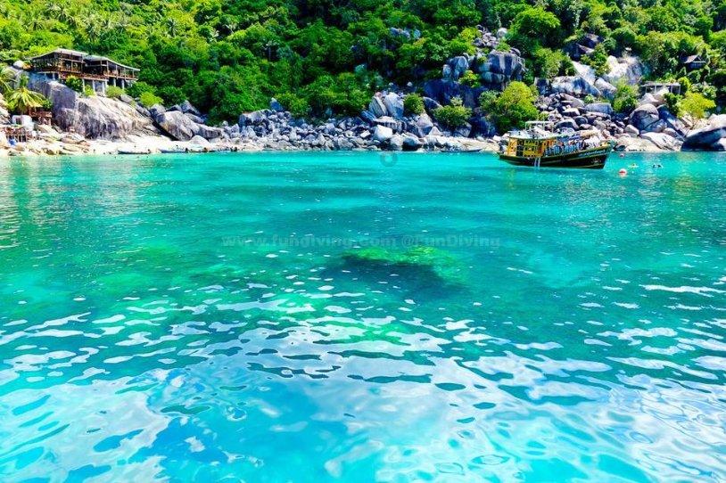 逃出猫头鹰岛