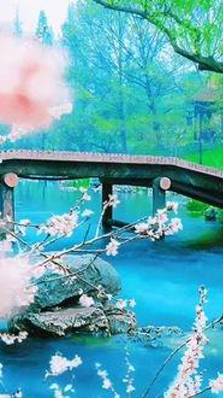 微酸秘密